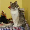 Отзыв от Вероника Маркова